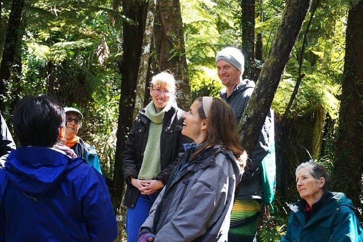 Waiheke Island Private Forest Bathing Walk – Mindful Nature Therapy Near Auckland photo 3