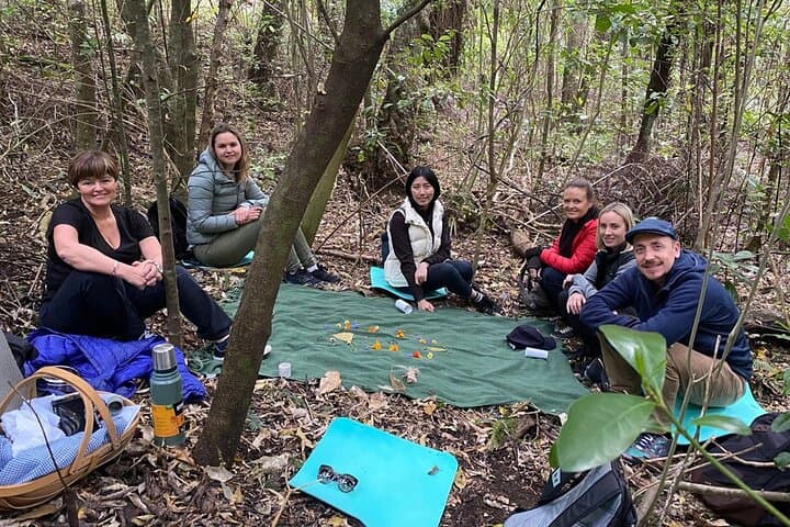 Waiheke Island Private Forest Bathing Walk – Mindful Nature Therapy Near Auckland photo 4