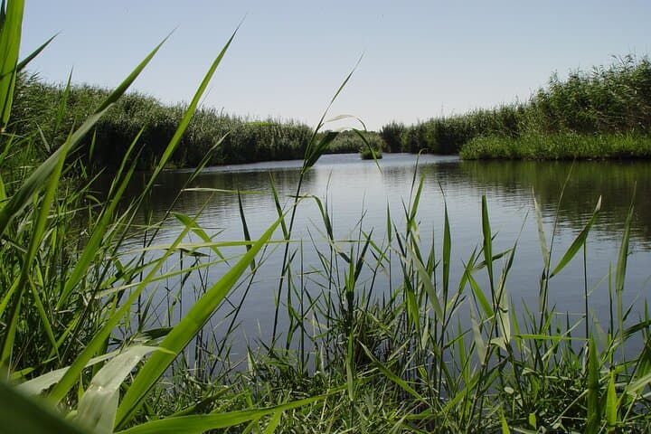 Shaumari Reserve and Azraq Wetland: Private Full-Day Wildlife Tour from Amman photo 3