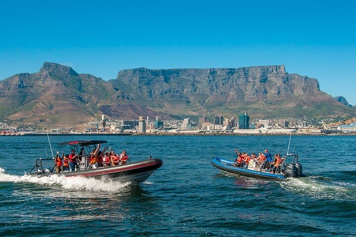Ocean Safari: Cape Town RIB Wildlife Cruise from V&A Waterfront photo 5