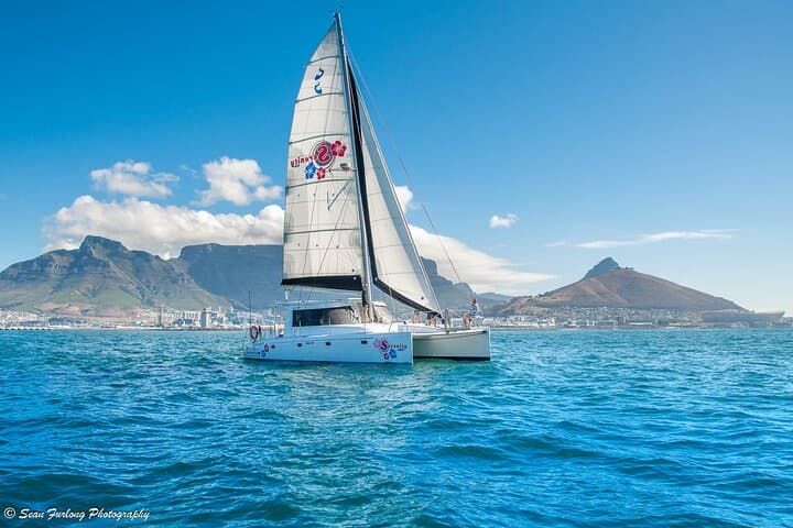 One-Hour Catamaran Sailing in Table Bay — V&A Waterfront Cruise photo 3
