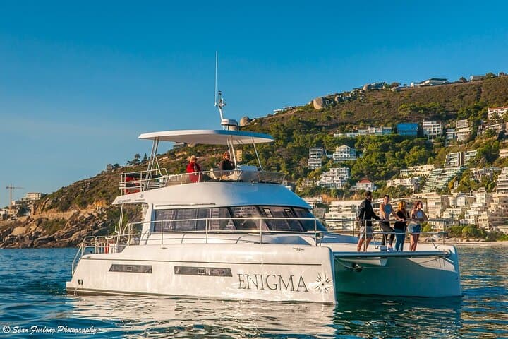 Catamaran Cruise and Sushi Experience in Cape Town (V&A Waterfront) photo 6