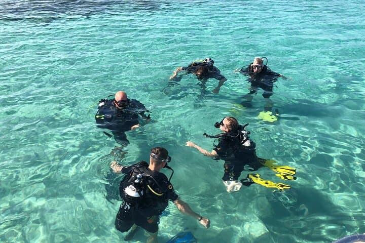 Discover Scuba Diving by Boat in Akamas, Cyprus - Beginner 6m Dives photo 3