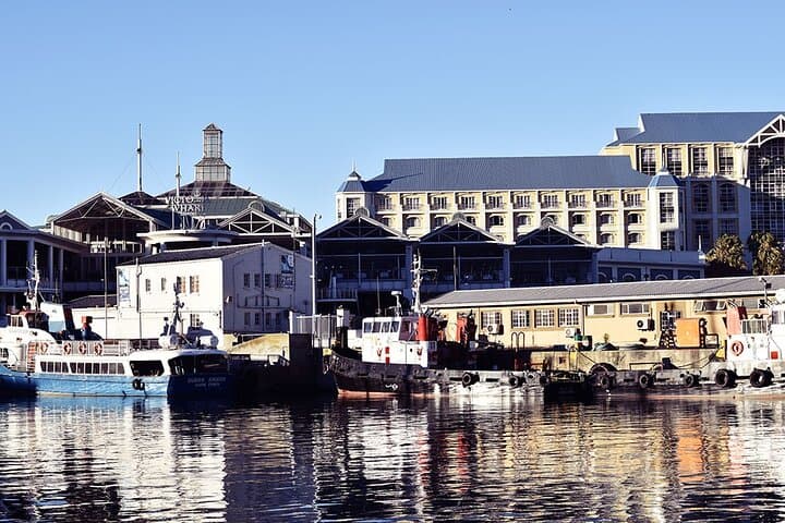 Half-Hour Seal & Harbour Cruise — V&A Waterfront, Cape Town photo 6