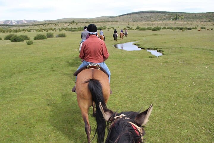 Horseback Riding and Asado in San Carlos de Bariloche — Ñires, Andes Views & Criollo Lunch photo 2