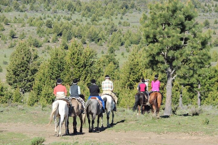 Horseback Riding and Asado in San Carlos de Bariloche — Ñires, Andes Views & Criollo Lunch photo 5