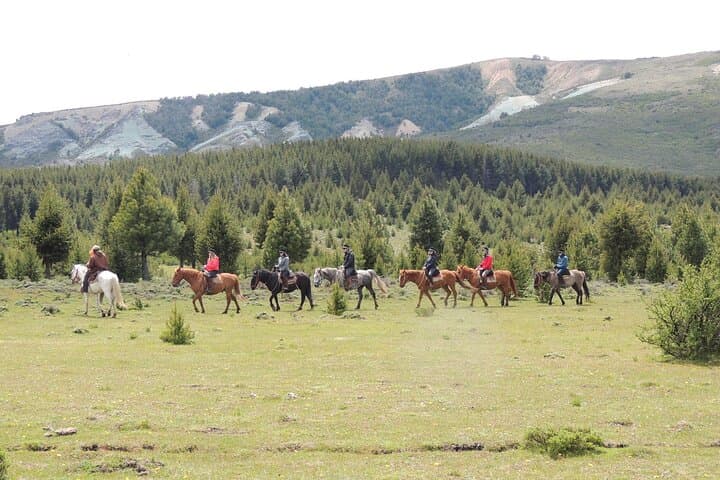 Horseback Riding and Asado in San Carlos de Bariloche — Ñires, Andes Views & Criollo Lunch photo 4