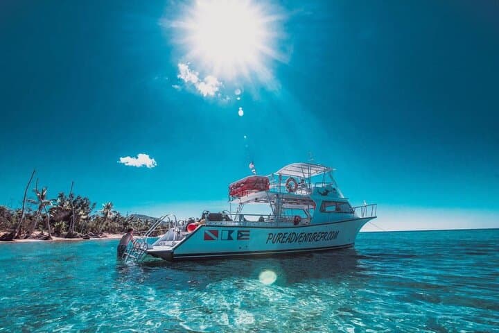 Vieques Snorkel Tour from Fajardo — 4-Hour Boat Trip to Pristine Reefs photo 2