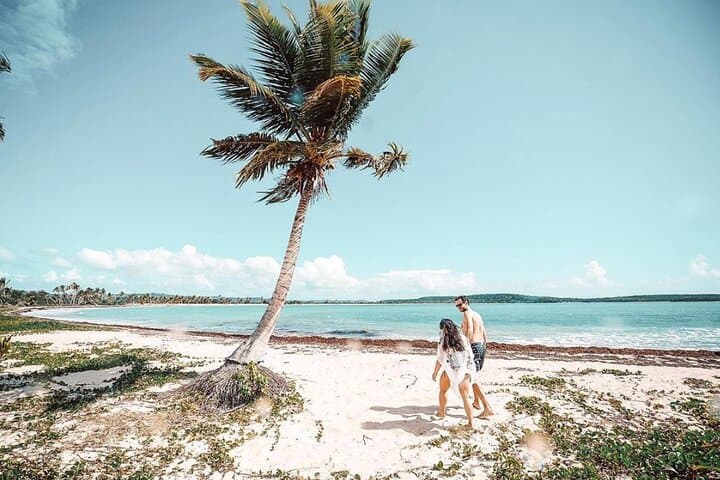 Vieques Snorkel Tour from Fajardo — 4-Hour Boat Trip to Pristine Reefs photo 5
