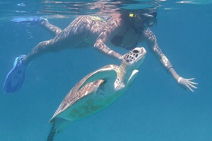 Culebra Flamenco Beach Full-Day Snorkel Tour with Lunch from Fajardo photo 5