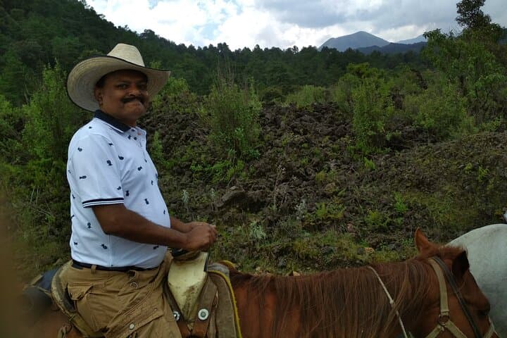 Hike Parícutin Volcano Crater: Private Day Tour from Morelia photo 5