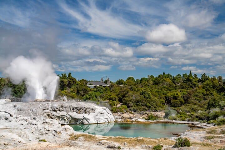 Whakarewarewa Guided Māori Village Tour — Rotorua’s Living Geothermal Heritage photo 2