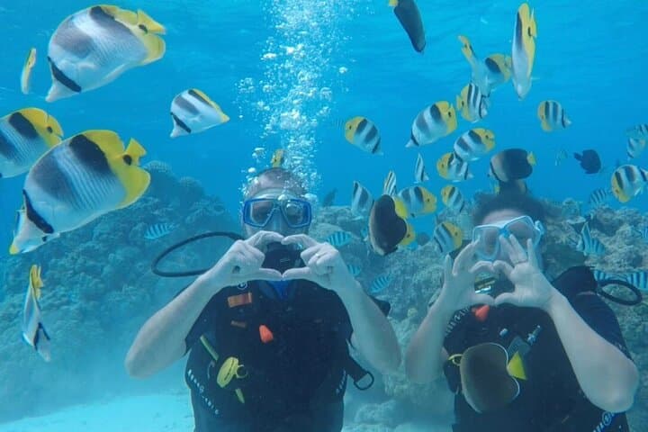 Bora Bora Romantic Beginner Scuba Dive with Video and Pearl Keepsake photo 5