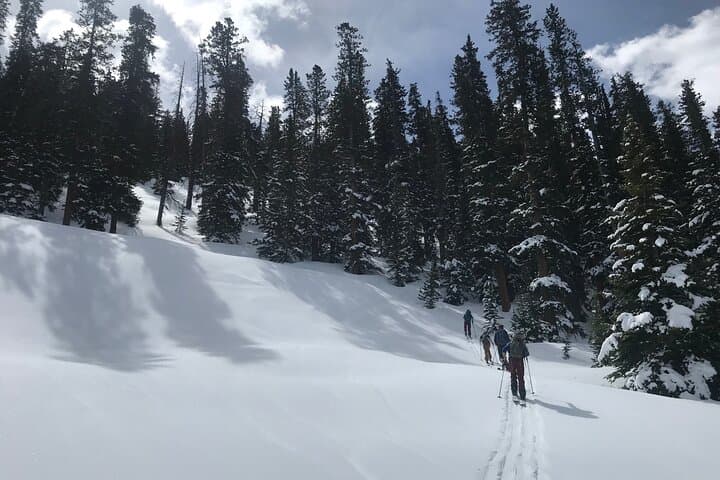 Private Denver Airport Transfer to Vail & Beaver Creek — Comfortable 2–3 Hour Mountain Shuttle photo 2