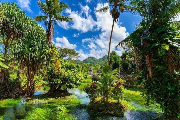 RastaSafari ATV Cultural Experience from Montego Bay — Roaring River Village photo 5