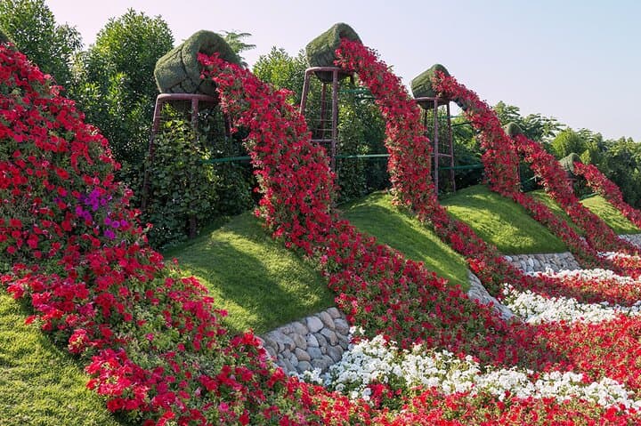 Dubai Miracle Garden: Explore 45 Million Flowers and Sculpted Displays photo 5