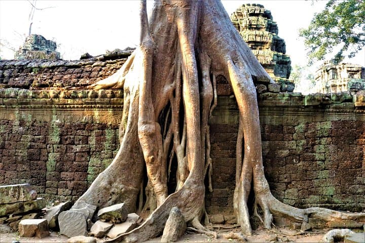 Private Angkor Temples Walking Tour from Siem Reap — Off-the-Beaten-Track Walk photo 6