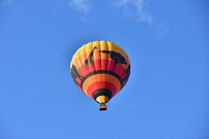 Sunrise Hot Air Balloon Safari Over Pilanesberg National Park photo 3