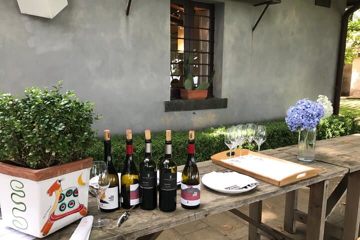 Mount Etna Craters: Private Guided Tour & Organic Winery Lunch photo 6