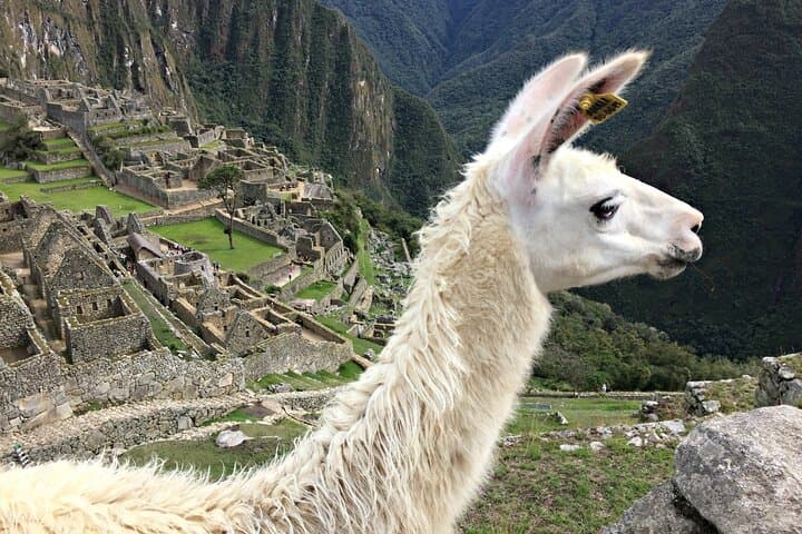 4-Day Cusco to Machu Picchu & Rainbow Mountain: Sacred Valley Highlights photo 4
