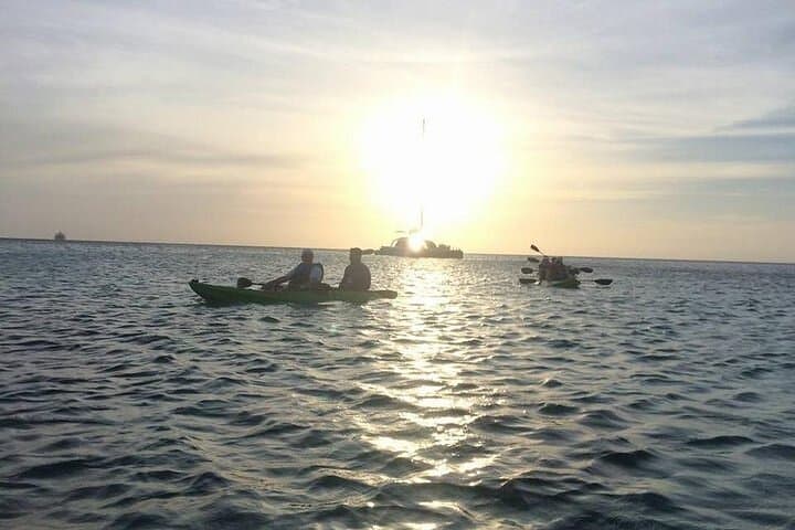 Glass-Bottom Kayak Tour Through Aruba's Mangrove Forest photo 6