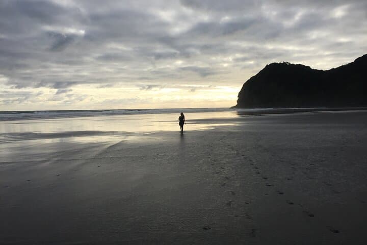 Auckland Wild West Coast & Black Sand Beaches Tour with Gannets and Brewery Lunch photo 6