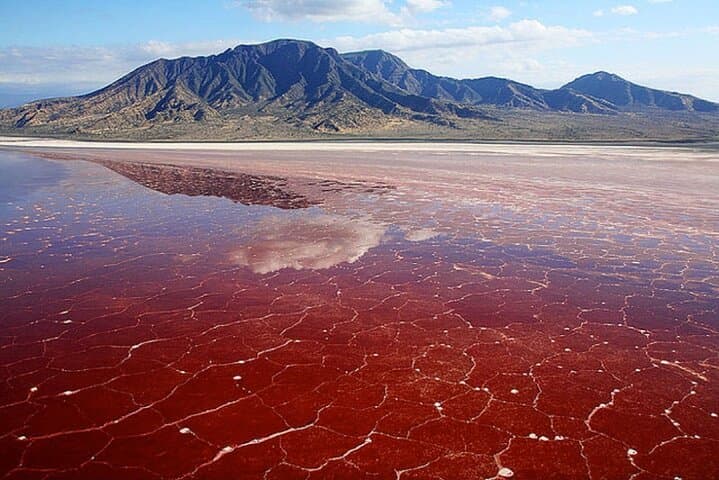 8-Day Serengeti, Ngorongoro & Empakaai Crater Safari — Lake Natron & Maasai Cultural Trek photo 6