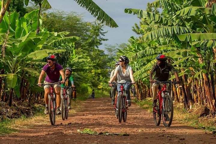 Cycle Arusha National Park: 1-Day Scenic Ride to Mount Meru and Momella Lakes