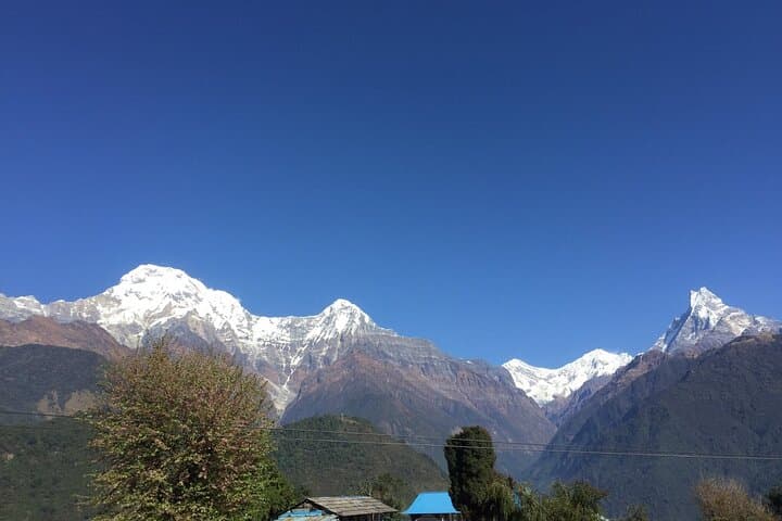 Annapurna Base Camp Trek — 7-Day Short Trek from Pokhara photo 6