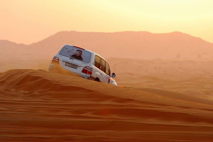 Morning Dubai Red Dunes: Private 4x4 Safari, Falcon Photos & Camel Ride photo 2