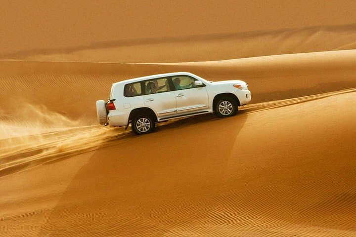 Morning Dubai Red Dunes: Private 4x4 Safari, Falcon Photos & Camel Ride