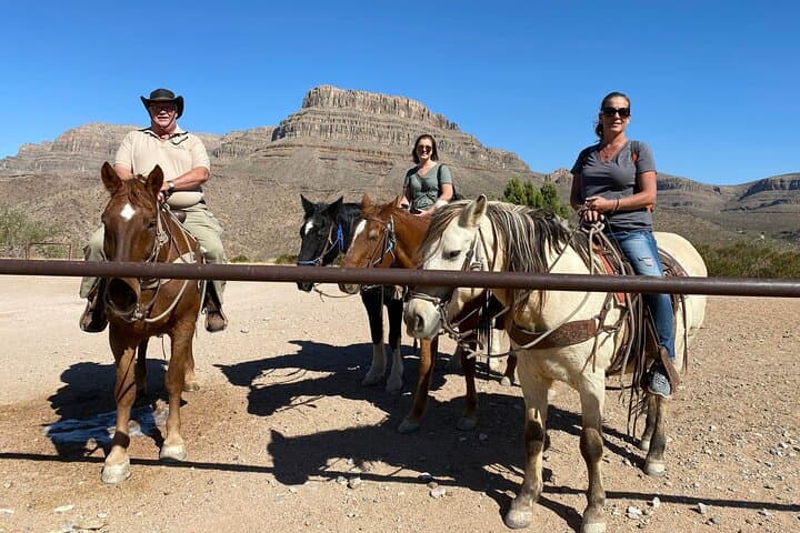Joshua Tree & Buffalo Horseback Ride with Lunch near Kingman photo 4
