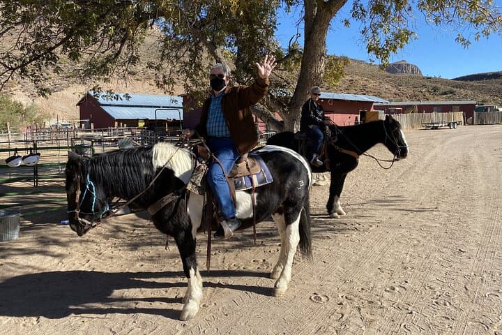 Joshua Tree & Buffalo Horseback Ride with Lunch near Kingman photo 2