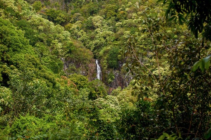 Private Full-Day Road to Hana: Waterfalls, Beaches & Jungle Loop on Maui photo 2