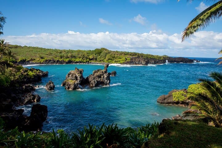 Private Full-Day Road to Hana: Waterfalls, Beaches & Jungle Loop on Maui photo 5