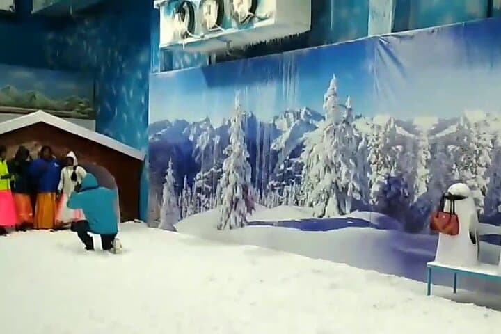 Hyderabad Day Tour: Snow World & Birla Science Museum with Buffet Lunch