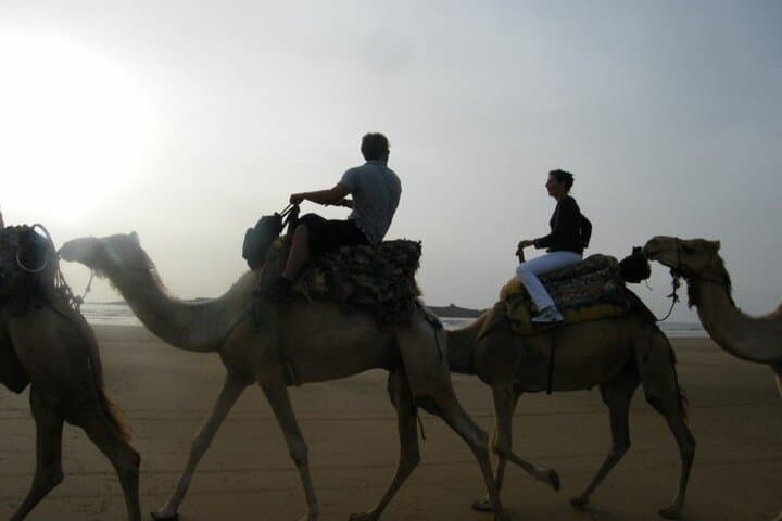 Essaouira Beach Camel Ride and Overnight in a Berber Camp photo 3