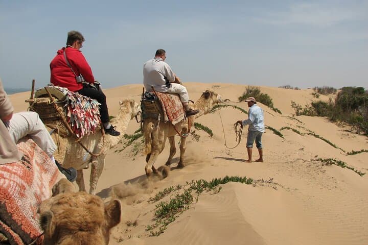 Essaouira Beach Camel Ride and Overnight in a Berber Camp photo 5