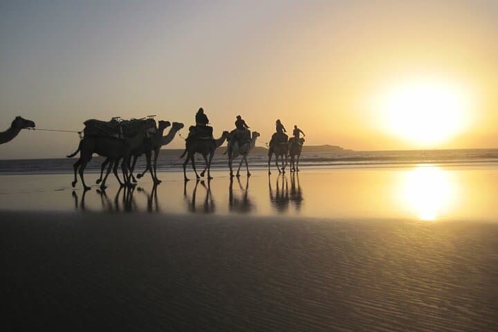 Essaouira Beach Camel Ride and Overnight in a Berber Camp photo 6