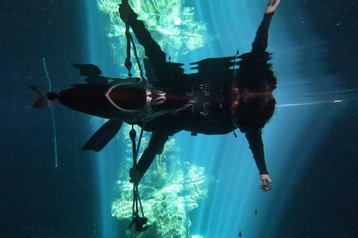 Freediving Discovery Day in Tulum: Cenote Apnea Experience photo 2