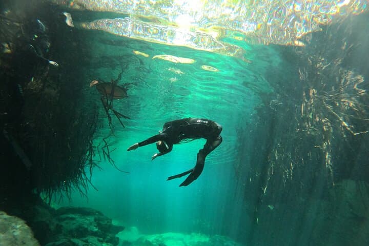 Freediving Discovery Day in Tulum: Cenote Apnea Experience photo 3