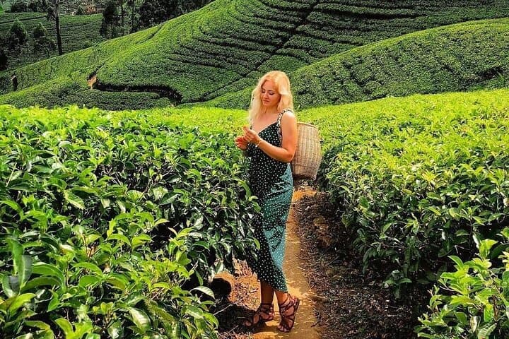 Sri Lanka 7-Day Budget Tour: Colombo, Kandy & Bentota Highlights photo 2