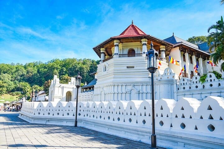 Colombo Airport to Kandy Private Transfer with Peradeniya Botanical Garden Stop