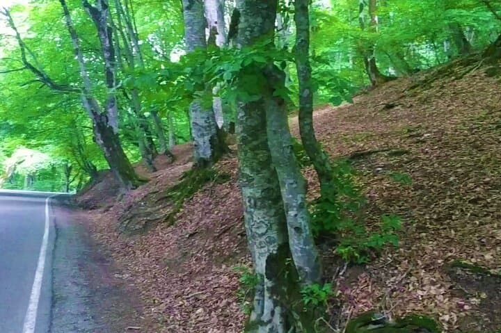 3-Day Lagodekhi National Park Hiking Tour — Waterfalls, Machi Fortress & Kakheti Villages photo 5