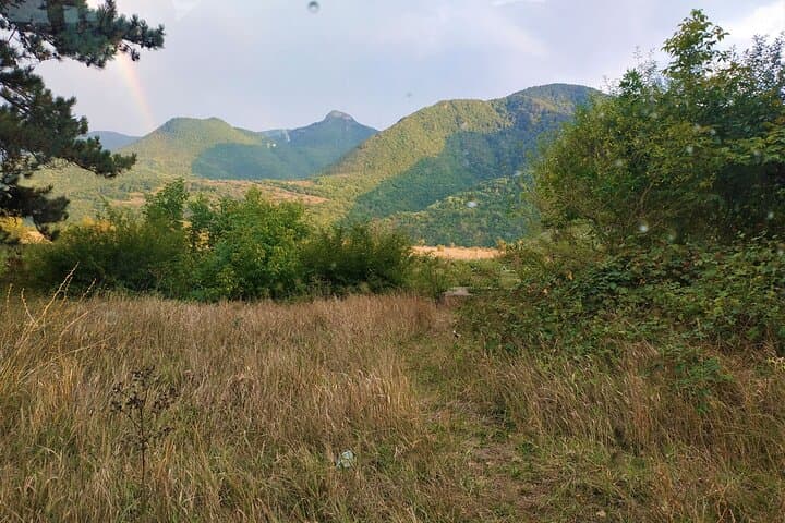 Jeep Day Trip to Tabatskuri Lake from Tbilisi — Borjomi & Bakuriani Route photo 6