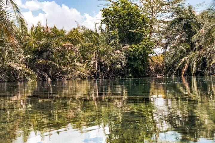 Chemka Hotsprings: Kikuletwa’s Turquoise Pools a Short Drive from Moshi photo 5