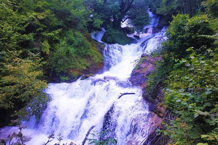 Lechkhumi in 3 Days: Private Tour to Tskaltubo, Khvamli & Lailashi photo 2