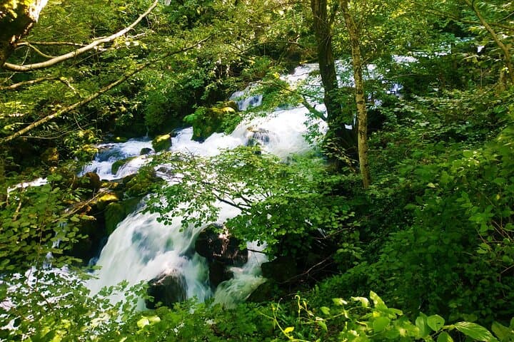 Lechkhumi in 3 Days: Private Tour to Tskaltubo, Khvamli & Lailashi photo 3