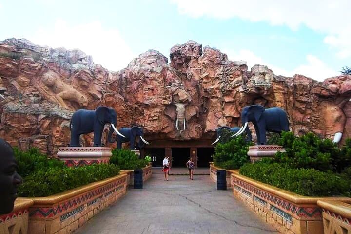Pilanesberg National Park Open Safari & Sun City Day Tour photo 3