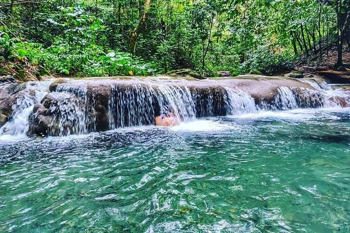 Dunn's River Falls and the Luminous Lagoon: Guided Tour from Falmouth